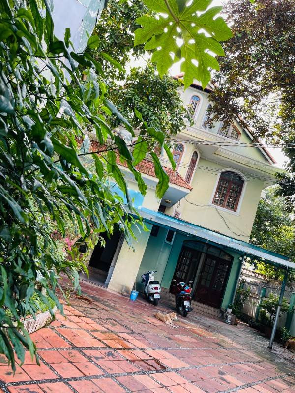 Cho thuê Biệt thự sân vườn hẻm xe hơi (đầu hẻm ) Nam Kỳ Khởi Nghĩa, P.Võ Thị Sáu, Quận 3